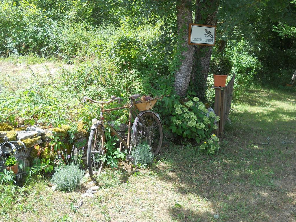 فيلا Paussac-et-Saint-Vivienفي Le Domaine De La Genette المظهر الخارجي الصورة